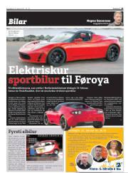 Síða 35