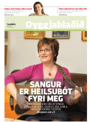 Síða 13