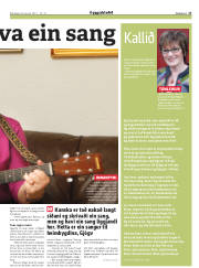 Síða 17