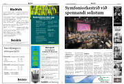 Síða 28