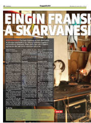 Síða 20