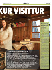 Síða 21