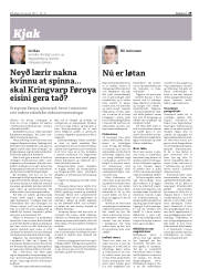 Síða 29