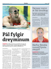 Síða 33