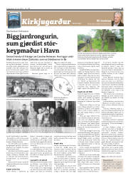 Síða 17