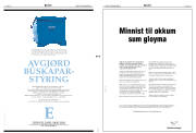 Síða 3