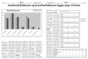 Síða 6