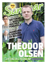 Síða 49