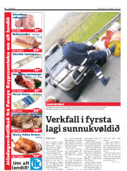 Síða 6