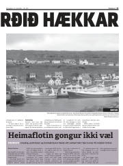 Síða 11