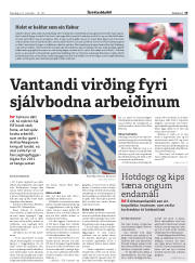 Síða 19