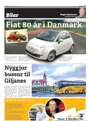 Síða 29