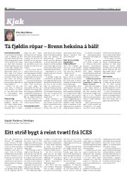 Síða 30