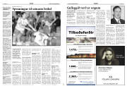 Síða 14