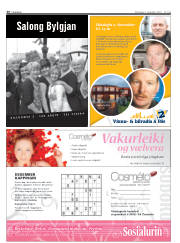 Síða 26