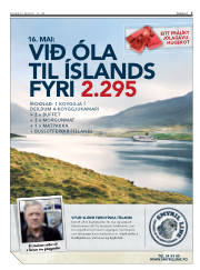 Síða 3