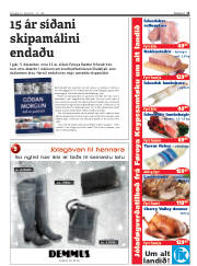 Síða 15