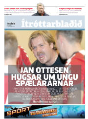 Síða 17