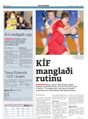 Síða 22