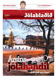 Síða 41
