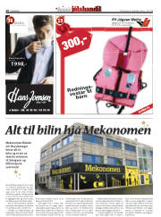 Síða 60