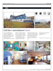 Síða 19