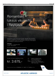 Síða 21