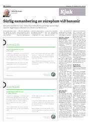 Síða 22