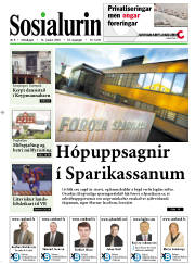 Síða 1