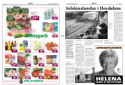 Síða 3