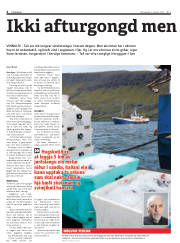 Síða 4