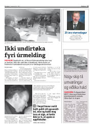 Síða 11
