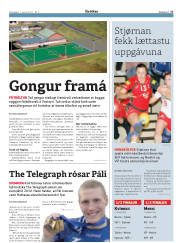 Síða 17