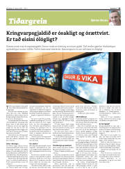 Síða 13