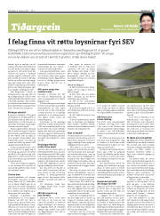 Síða 17