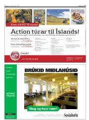 Síða 27