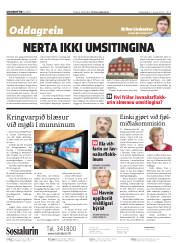 Síða 2