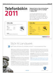 Síða 11