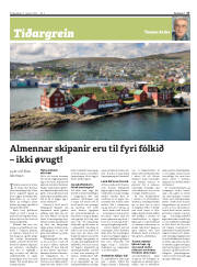 Síða 17