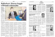 Síða 15