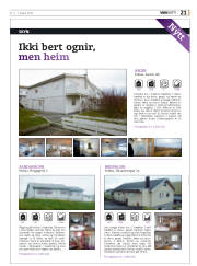 Síða 61