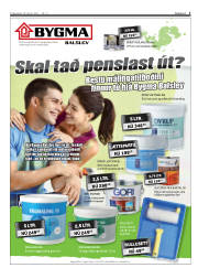 Síða 3