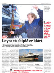 Síða 8