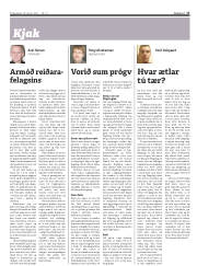 Síða 17