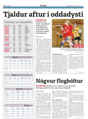 Síða 26