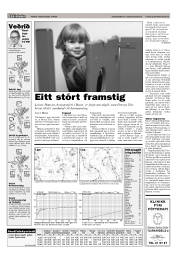 Síða 15