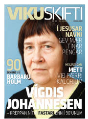 Síða 41