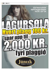 Síða 60