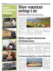 Síða 8