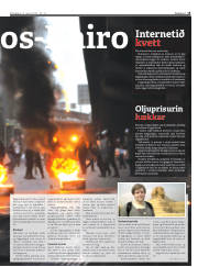 Síða 15